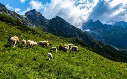 1755429 (a): :1920x1200